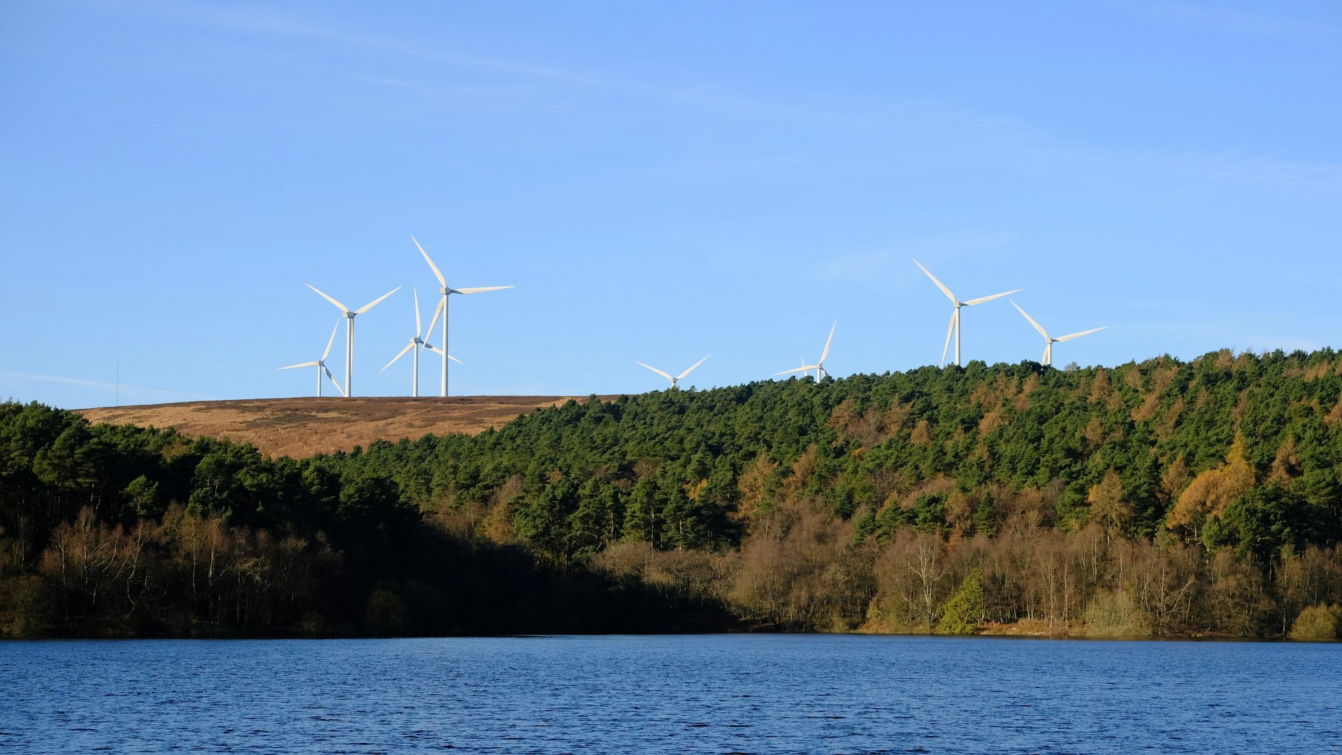 wind power park on top of a hill next to the sea